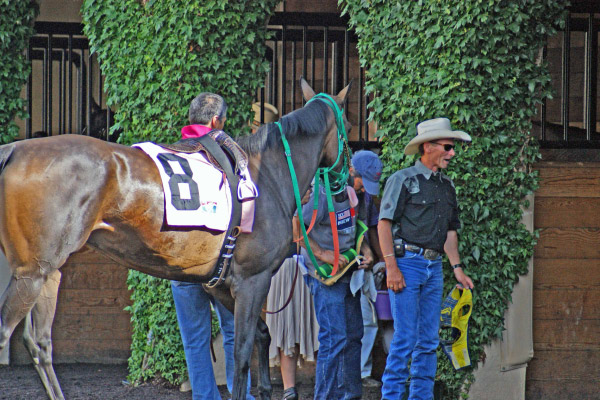 horse walk3 8-10 edit1