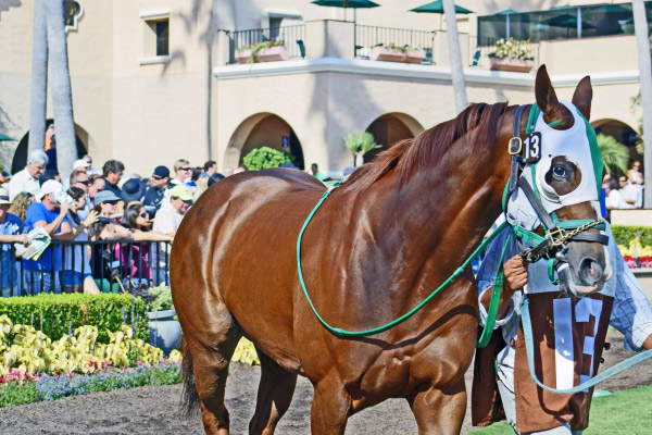 horse2 walk 8-25 edit1