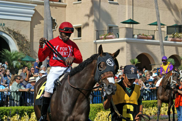 jockey4 8-25 edit1