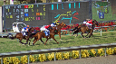 race4 8-25 edit1
