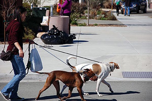 DSC_0082_web