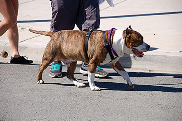 DSC_0084_web