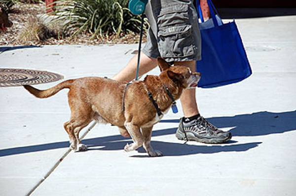 DSC_0085_web