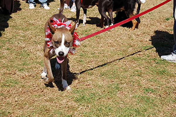 DSC_0098_web