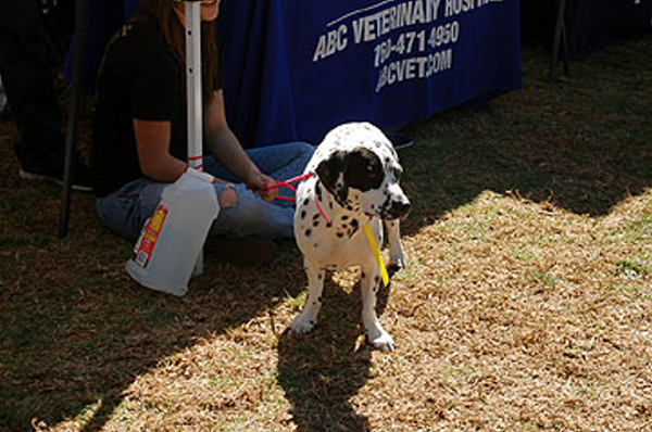 DSC_0100_web