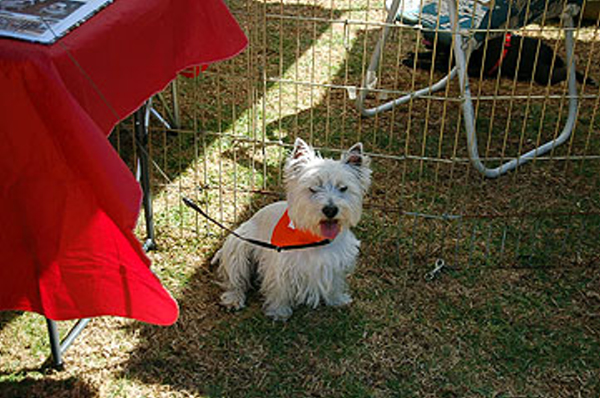 DSC_0103_web