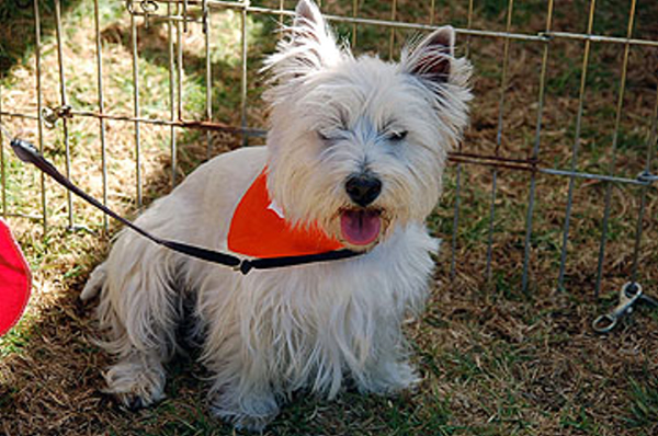 DSC_0104_web