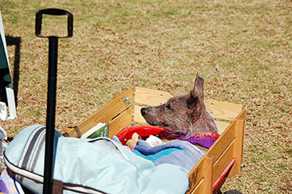 DSC_0107_web