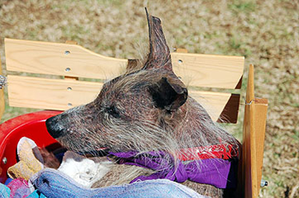 DSC_0109_web