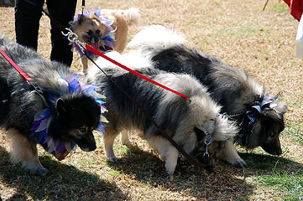 DSC_0110_web
