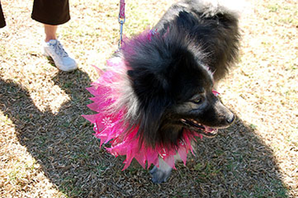 DSC_0111_web