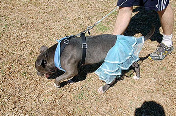 DSC_0113_web