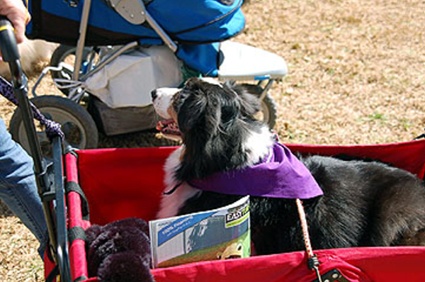DSC_0115_web
