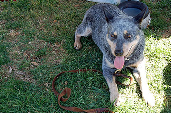DSC_0123_web