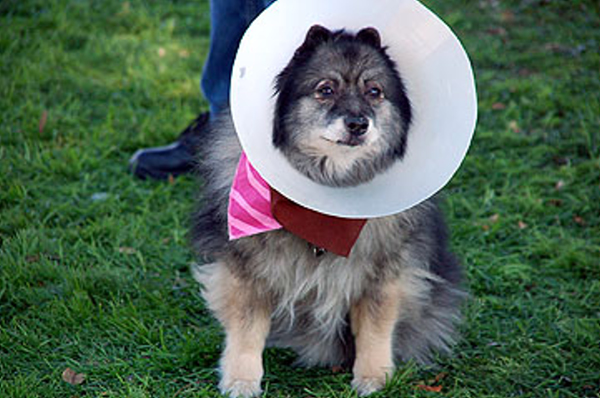 DSC_0129_web