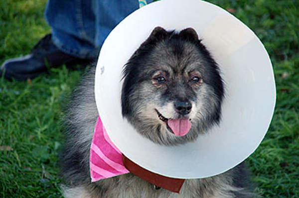 DSC_0130_web
