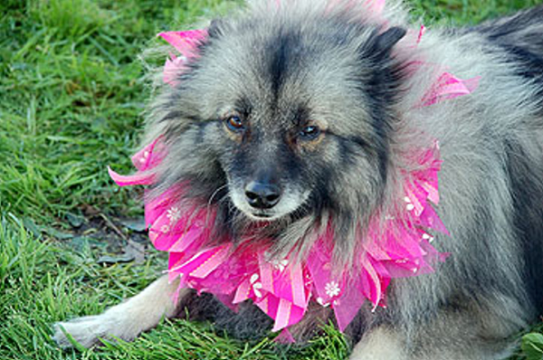 DSC_0131_web