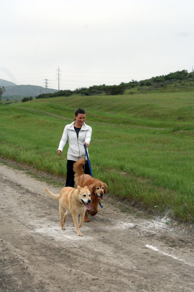 dog run1_web