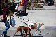DSC_0082_web