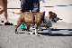 DSC_0084_web