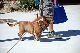 DSC_0085_web