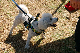 DSC_0099_web
