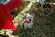 DSC_0103_web