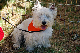 DSC_0104_web