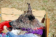 DSC_0109_web