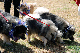 DSC_0110_web