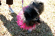 DSC_0111_web