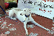 DSC_0118_web