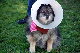 DSC_0129_web