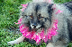 DSC_0131_web
