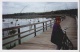 images/thm008_islebizard20001.jpg