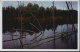 images/thm009_islebizard20002.jpg