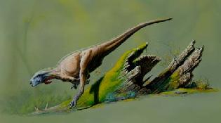 (c) John Bindon, used with permission