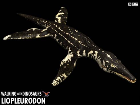 Might need real player to access.