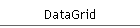 DataGrid