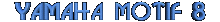 Motif.gif (2539 bytes)