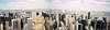 panoramic view from the Empire State Bldg