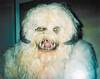 What Steve looks like in the morning