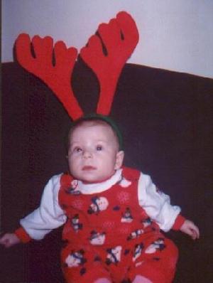 reindeer.jpg