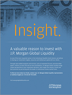 Insight