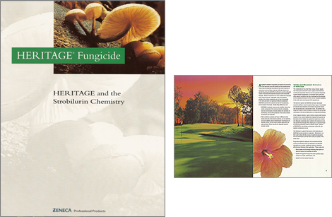Heritage and the Strobilurin Chemistry