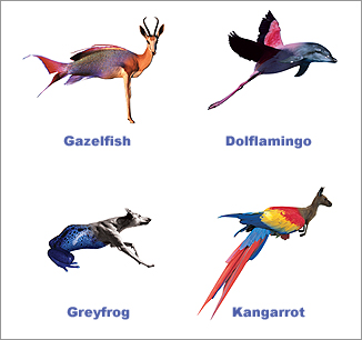 Animal mash-ups