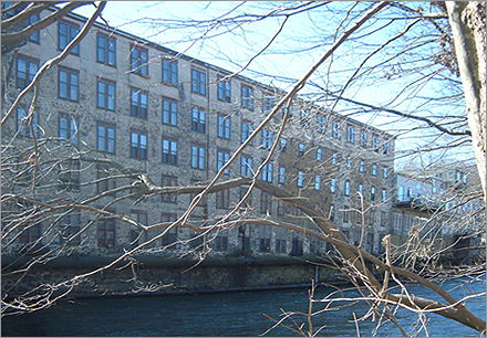 View from the creek