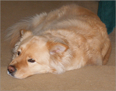 Bailey