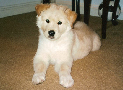 Bailey
