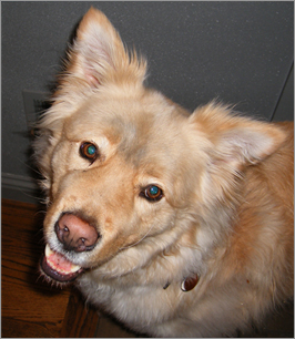 Bailey